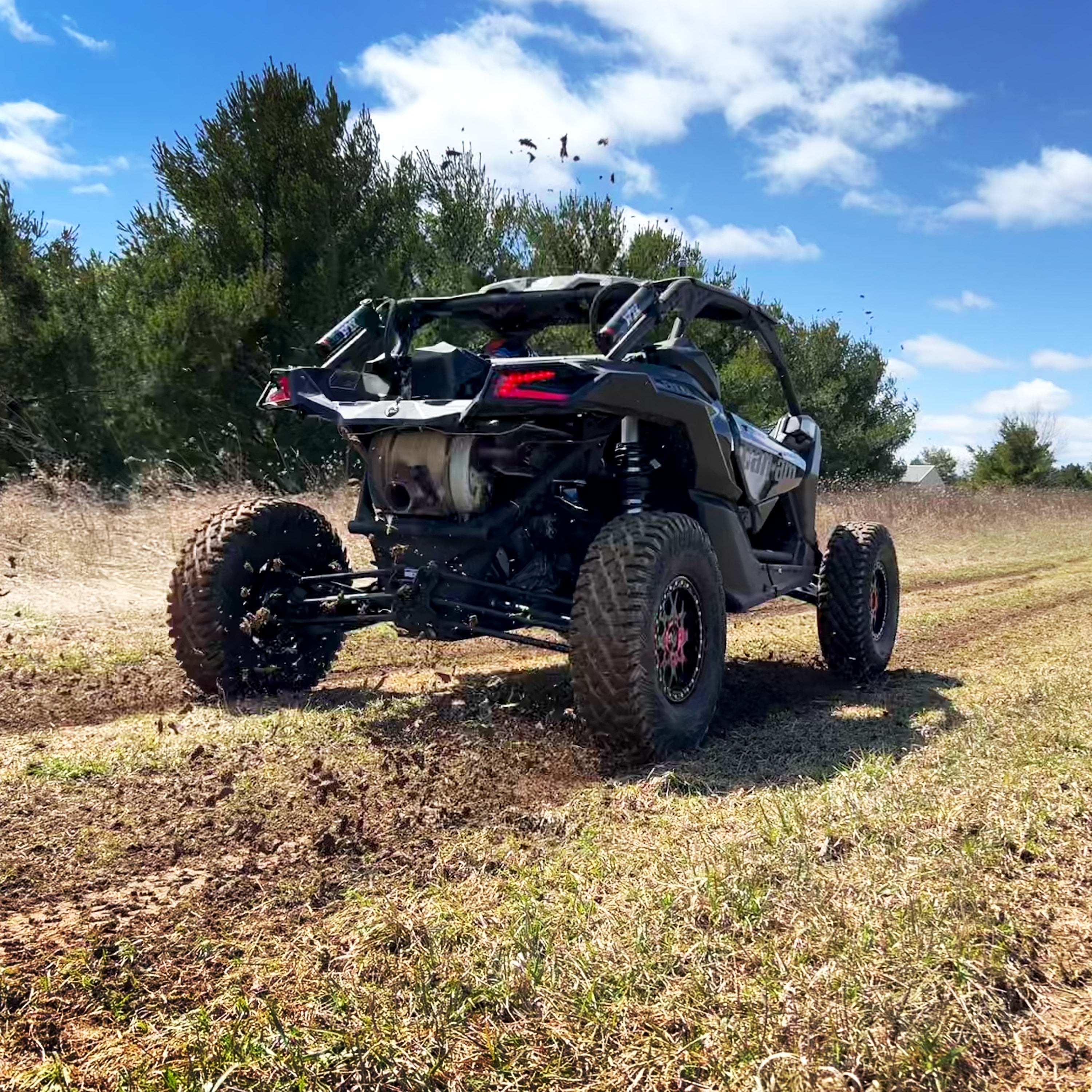 カリカリマシーン V2 Amazon | うちのこエレクトリック カリカリマシーンV2C 自動給餌器 暗