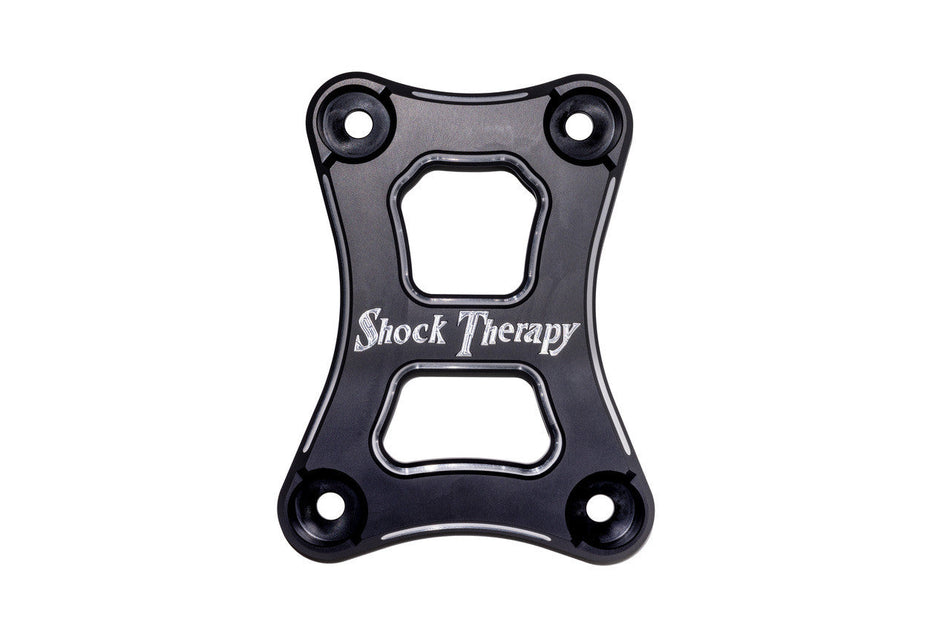 Shock Therapy Pull Plate for the RZR Pro R